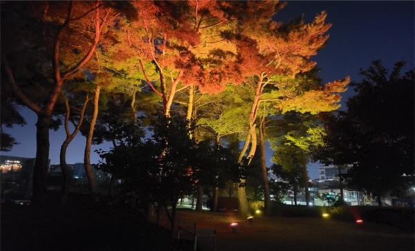 천안시시설관리공단이 천안축구센터 산책로에 설치한 야간조명