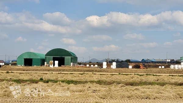 서산시 운산면 한 농지에 콘크리트 옹벽 하우스를 건축 해 축분을 보관 중 이며 하우수 내에 축분이 가득차 밖에 농지에 까지 야적 하고 있다.(사진=김정식기자)