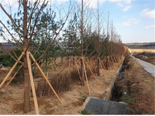 미세먼지 차단숲