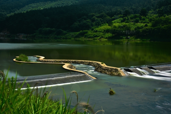 제4회어도사진공모전대상 어도의 생태 최원재