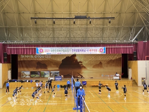 올해 열린 배구대회(사진=단양군)
