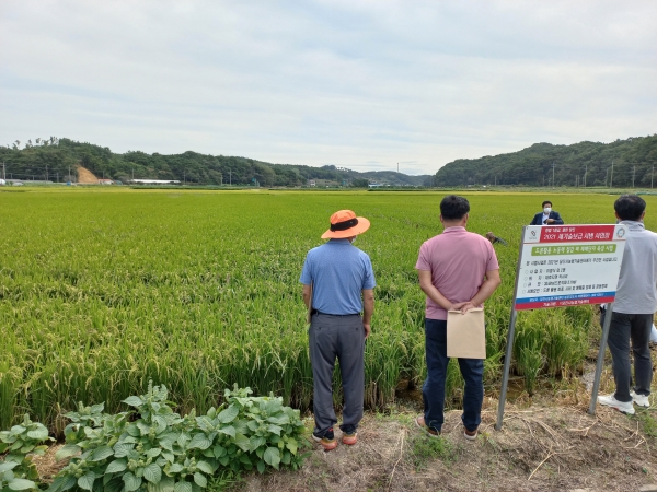 지난 직파 재배 드론활용 시범 사진
