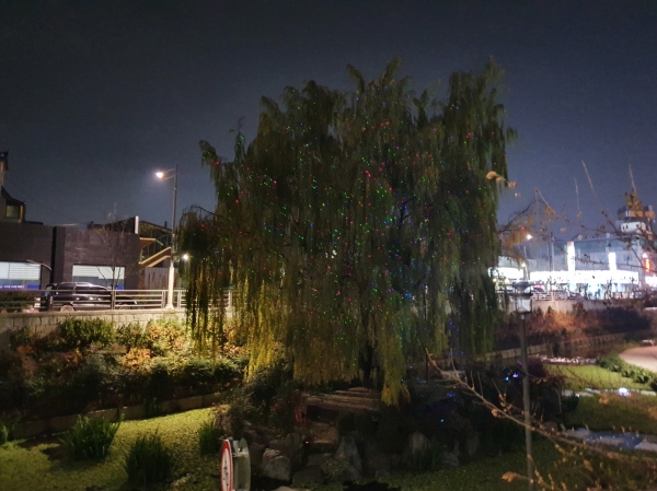 반딧불이 조명 사진