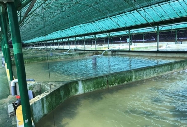 양식장 냉온수 공급 전경