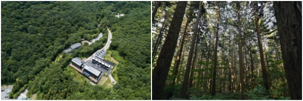 왼쪽: 산림교육센터(국립장성숲체원), 오른쪽:축령산 편백나무 숲 전경(국립장성숲체원)