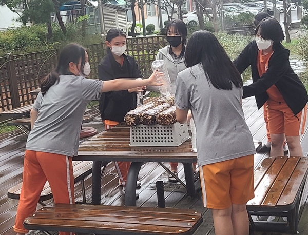 대전탄방중 버섯가꾸기 활동