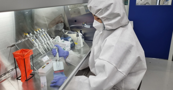 세종시 보건환경연구원이 지난 30일 코로나19 오미크론 변이 자체검사를 개시한 가운데 한 연구원이 오미크론 변이 PCR검사를 진행하고 있다.