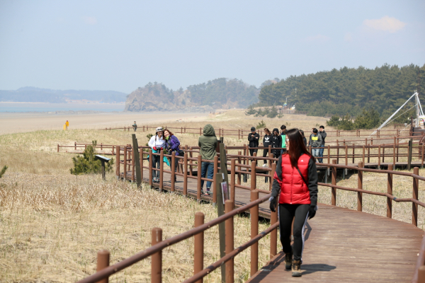 태안 코리아둘레길 (해변길)