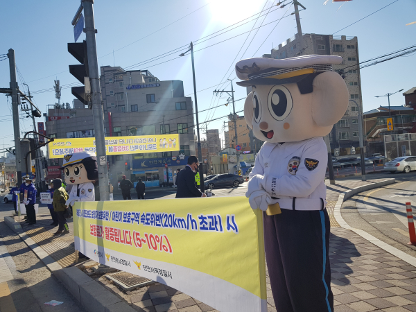 교통법규 준수 집중 캠페인 진행 장면