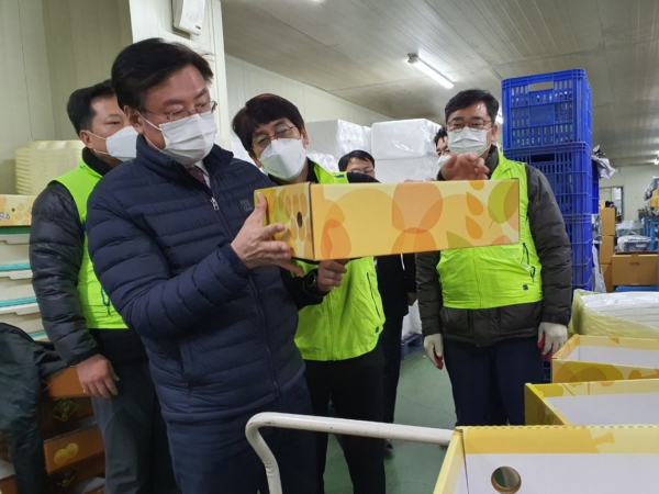 이종욱 충남세종농협본부장(앞쪽)은 아산원예농협 산지유통센터를 찾아 명절맞이 제수용 배 출하 준비상황을 살펴보고 있다.