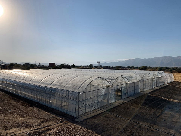 (사진은 양액재배온실 및 육묘하우스 전경)농어촌공사는 볼리비아 씨감자생산체계 구축및생산기술 전수사업을 통해 구축한 시설을 볼리비아 정부에 인계했다.