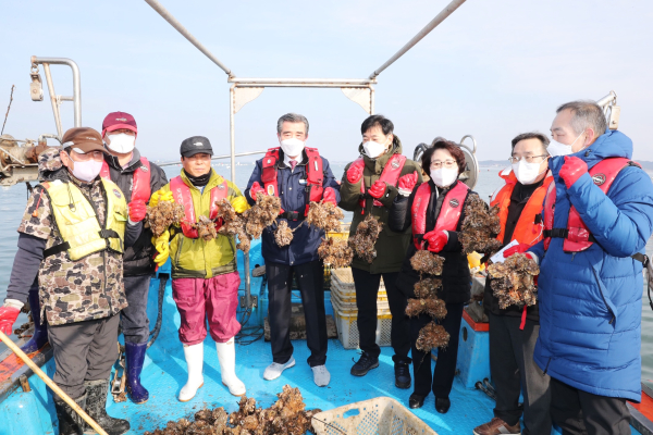 김동일 시장, 양식 굴 채취 현장체험 및 굴 양식 어업인과 간담회 모습