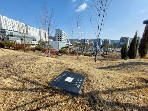 예산군청 인근에 설최된 지적삼각점/예산군 제공