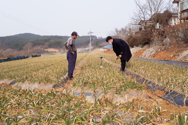 농촌지도사가 지난 23일 부석면에 위치한 마늘 농가를 방문해 현지 지도하는 모습