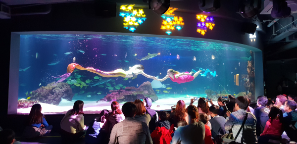 드림스타트 사업 중 서울나들이 체험 프로그램