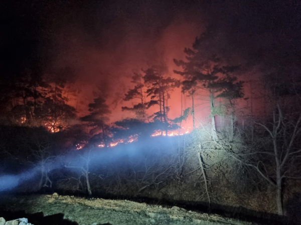 사진 = 당진소방서 제공