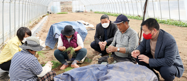 서산시의회, 달래 제철 맞아 농가 현장 간담회 진행 모습