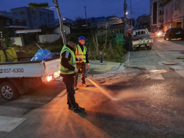 환경 정화활동 모습