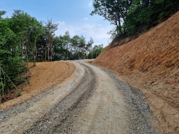청양군 대치면 상갑리 임도/충남도 제공