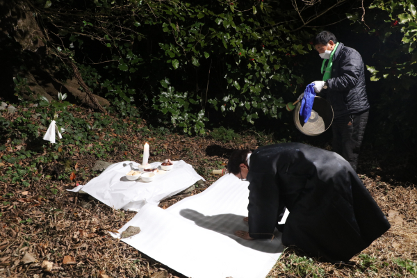 17일 천연기념물로 지정된 ‘보령 외연도 상록수림’ 일원에서  외연도 풍어당제 개최