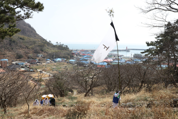 17일 천연기념물로 지정된 ‘보령 외연도 상록수림’ 일원에서  외연도 풍어당제 개최