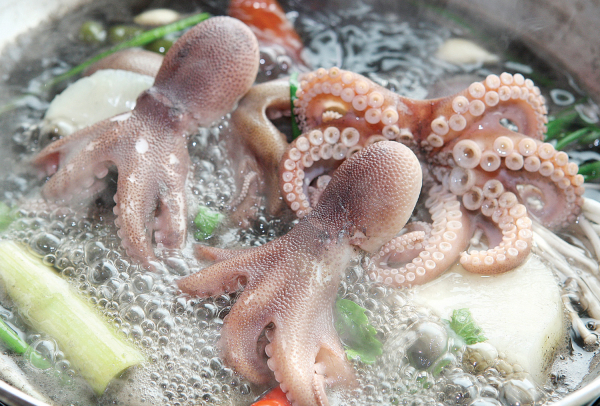 주꾸미샤브샤브