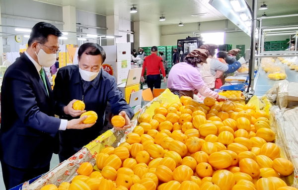 월항농협 방문 현장 사진 * 김춘진 한국농수산식품유통공사 사장(좌측1번째), 강도수 월항농협 대표(좌측2번째)