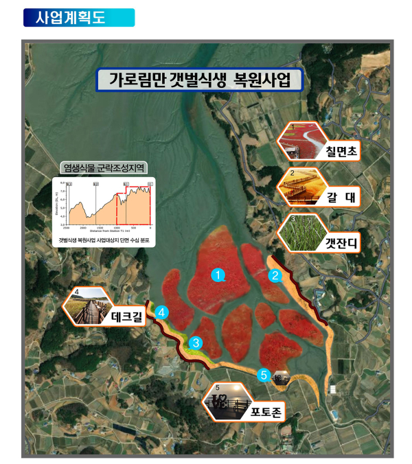 서산 가로림만 갯벌식생 복원사업 사업계획도
