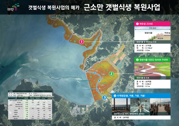 태안 근소만 갯벌 식생 복원사업 계획도.