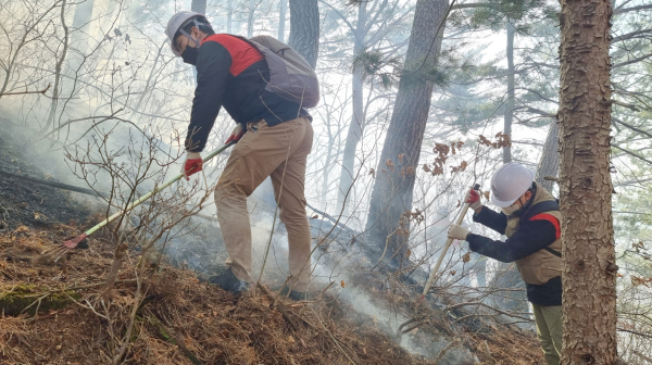 한국산림복지진흥원 직원들이 지난 10일 경북 울진 금강송면 일대에서 산불 진화를 위해 자원봉사활동에 참여하고 있다.