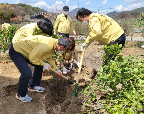 1일 제77회 식목일을 앞두고 구) 진잠초등학교 방성분교(성북동 188-1)에서 식목행사 모습