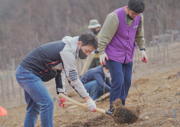 제77회 식목일 기념 수목 600주 식재 행사 모습