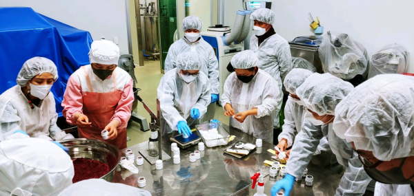 아로니아 분말포장 장면