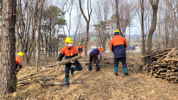 산림바이오매스 수집단 작업 장면