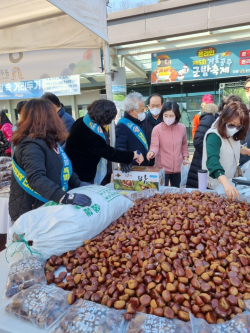 지난 군밤축제 홍보 모습