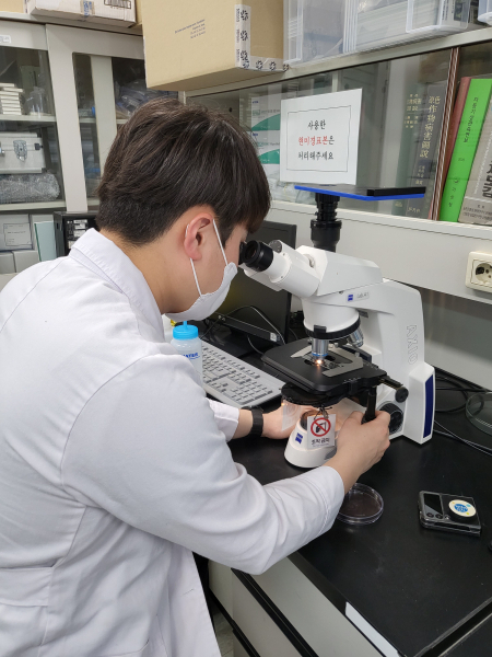 꽃가루발아율 검정 현미경 관찰 모습