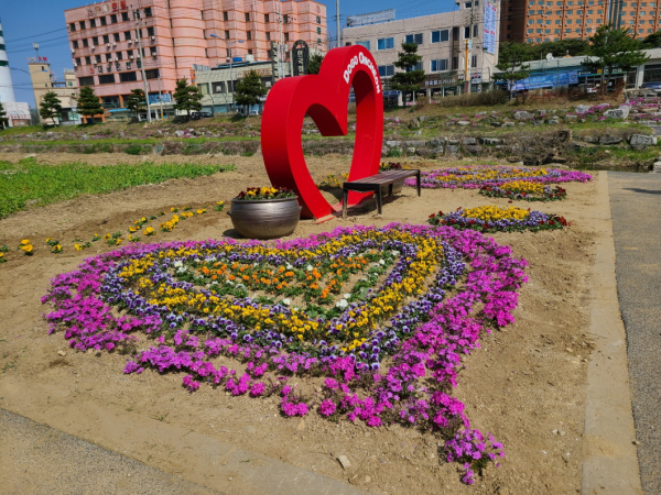 도고면 꽃밭 조성 사진