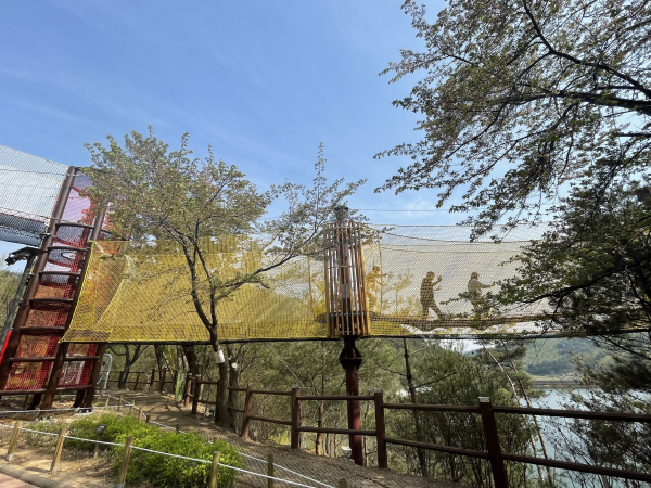 청양군 어드벤처 시설 에코 워크 설치모습