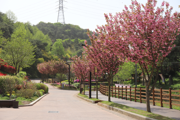 삼선산수목원 내부 사진