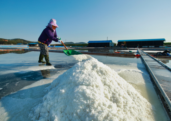 태안 송화소금 생산 염전 모습