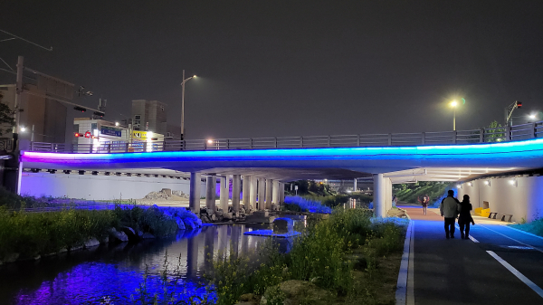 천안천 (봉명교) 야간 광경