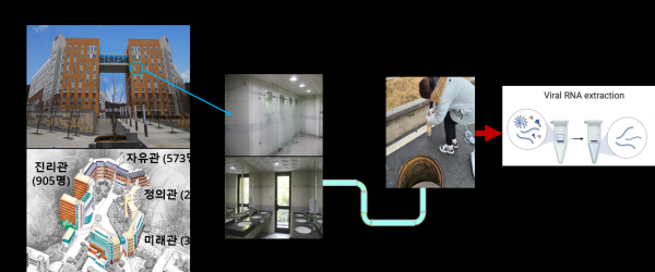 고려대학교 호연학사 하수감시 파일럿 프로그램 수행 체계도