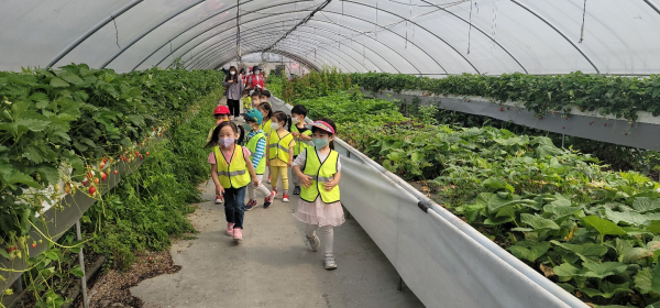 글벗유치원, 행복교육체험터 활동 모습