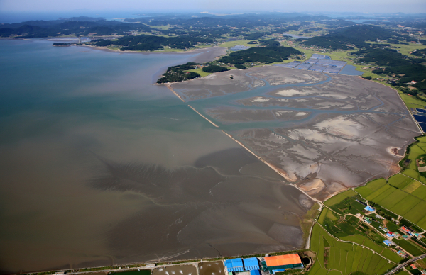 근흥면 마금리 항공사진.