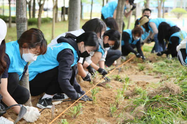 해피프리즘 가족봉사단이 21일 수청동 버들수변공원 놀이터 일원에서 맥문동 2만 본 식재 모습