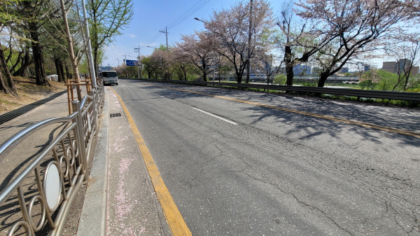 태평동 버드내 조폐근린공원 일원의 2022년 노인보호구역 개선사업 추진 구간