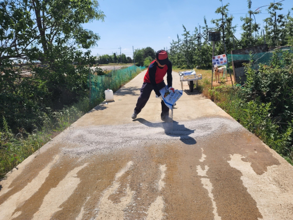 과수화상병 예방을 위한 석회 살포/예산군 제공