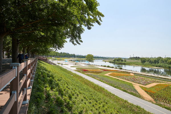 은행나무길 옆 곡교천 모습