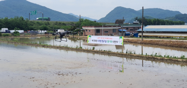 벼 드론 직파 시연 모습