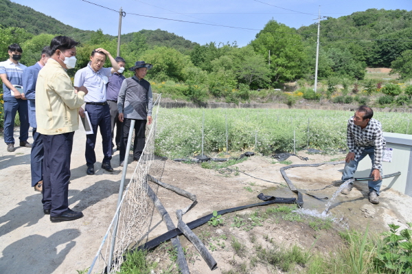 박정현 부여군수 가뭄 현장점검 모습